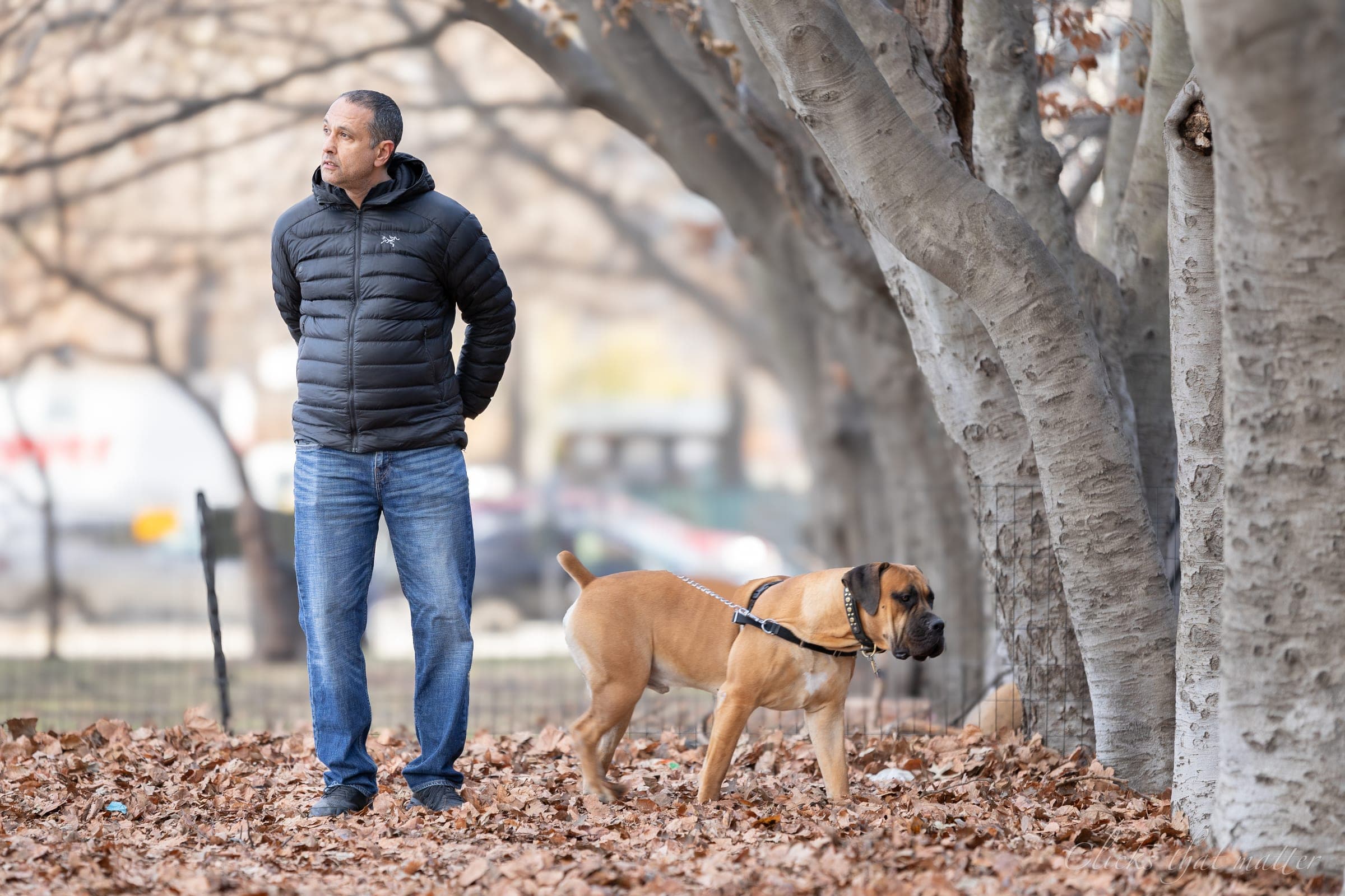 Clicks that matter